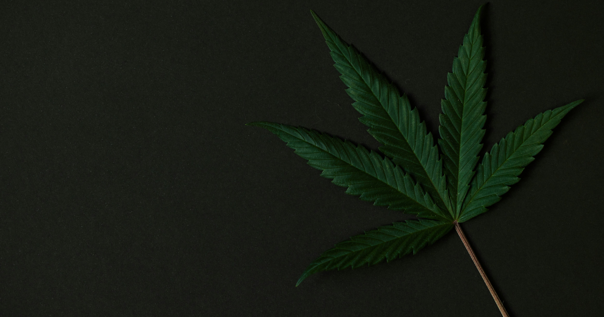 Medical Cannabis Access Linked to Reduced Opioid Prescriptions for Cancer Surgery Patients