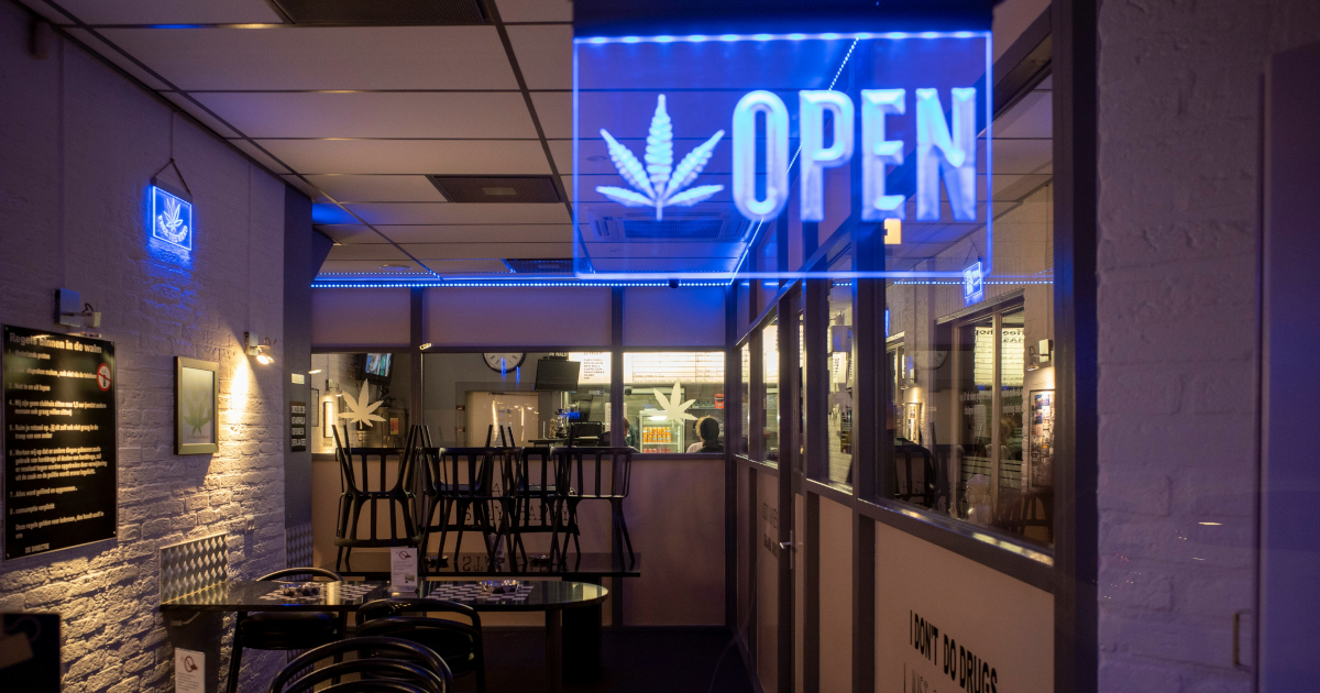 FAQ: Florida Court Ruling on Marijuana Smell and Vehicle Searches