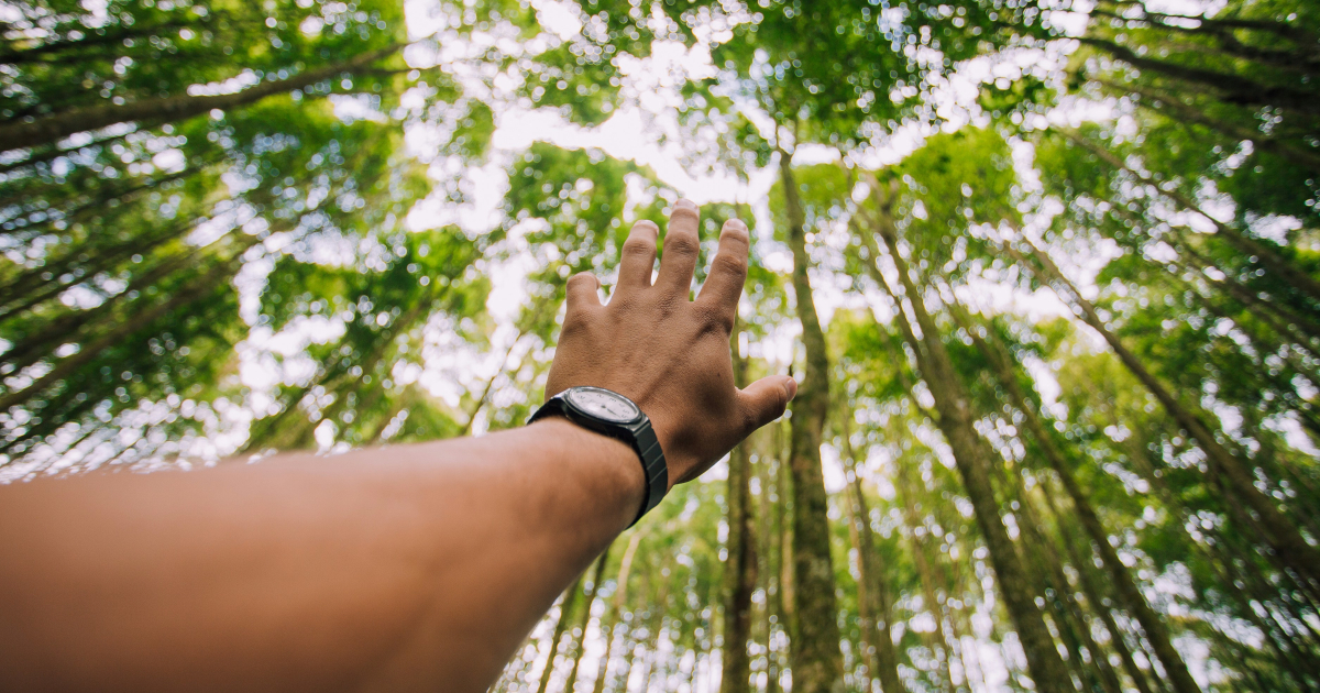 Milevista Partners with Operation Smile to Raise $6.7 Million for Cleft Surgery Access by 2027