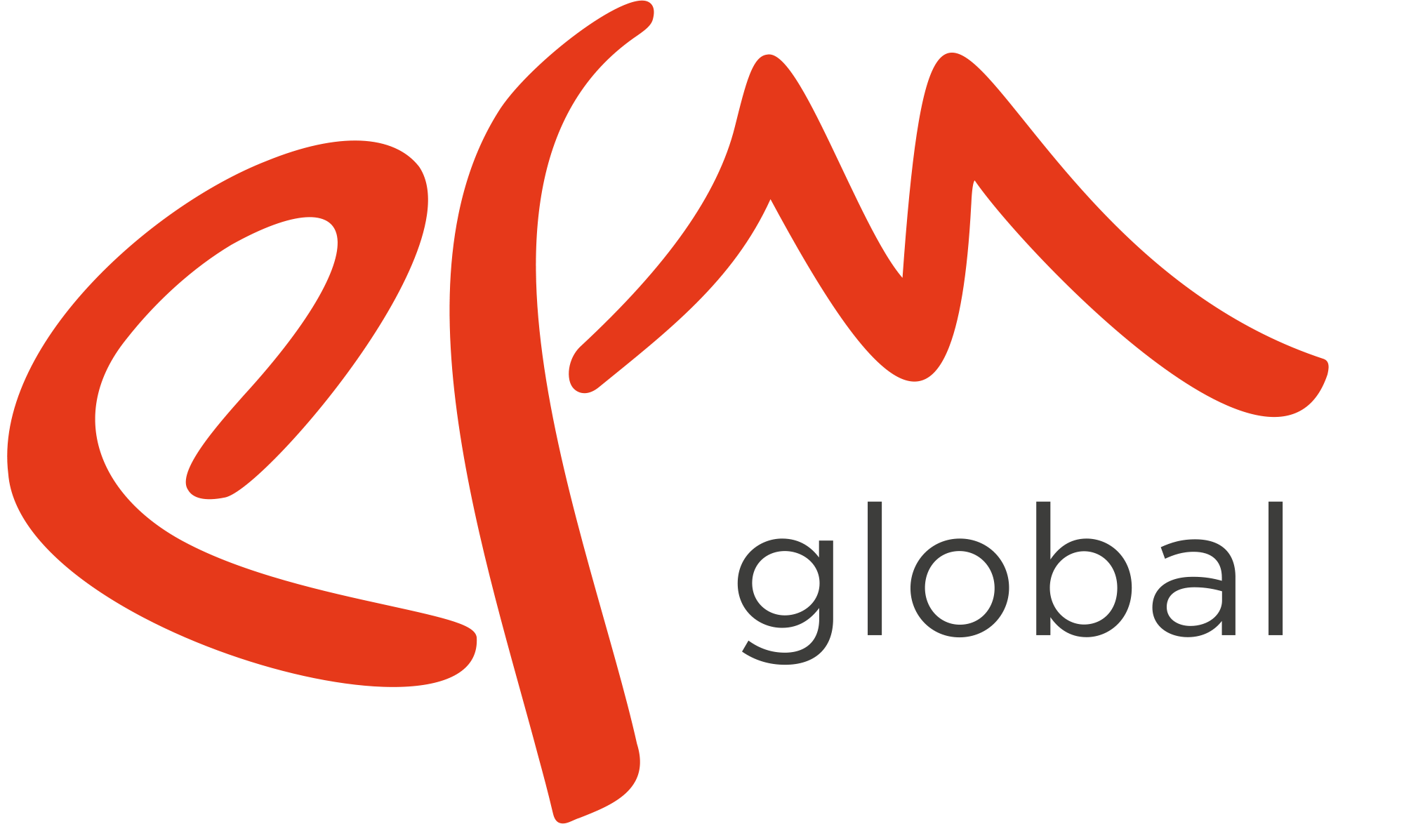EFM Global Completes 17 Air Charters in 60 Days Amid Rising Logistics Demands