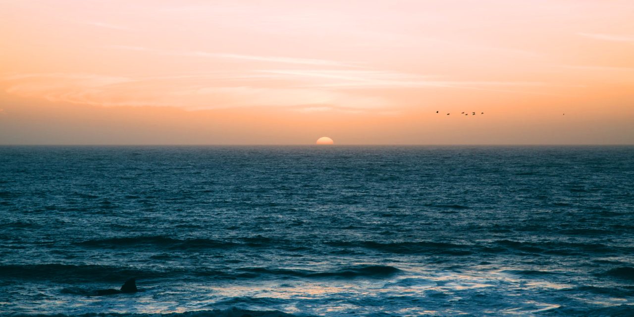 Développements majeurs dans les transports, l'aide sociale et l'éducation au Maryland