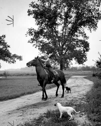 FAQ: A. Aubrey Bodine's 'On the Farm with Mrs. Roland A. Bosee and Children (1952)' Photograph