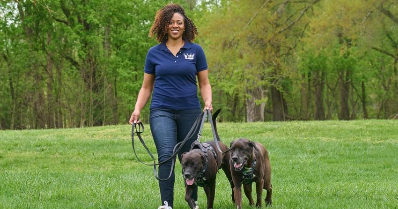 From Engineering to Entrepreneurship: Akira Bradley's Journey with Barking with the Bradleys