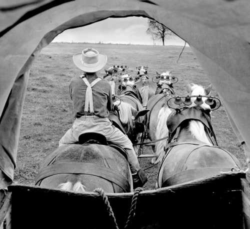 FAQ: A. Aubrey Bodine's Pennsylvania Farm Museum Photograph and His Photographic Legacy