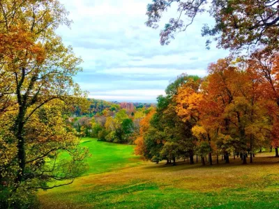Roland Park Community Foundation Secures Future of Hillside Park with $9 Million Purchase