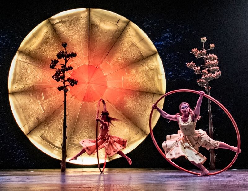 LUZIA by Cirque du Soleil in South Florida: Complete Guide