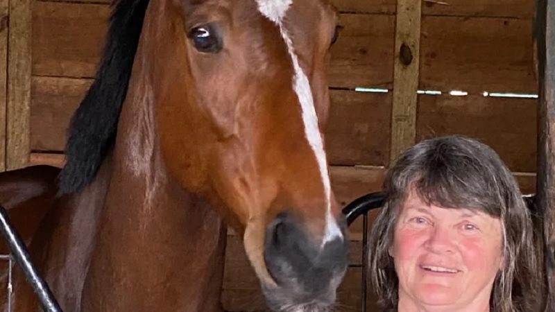 Mid-Atlantic Horse Rescue Highlights the Importance of Thoroughbred Aftercare