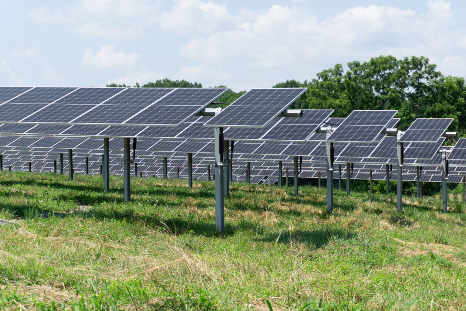 Maryland Farmers Grapple with Solar Land Leases Amid Legislative Changes