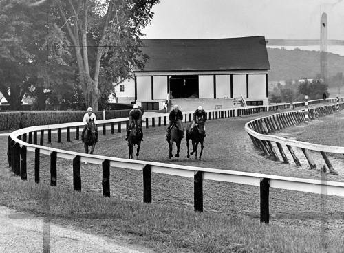 FAQ About 'Race Horse Workout (1967)' by A. Aubrey Bodine