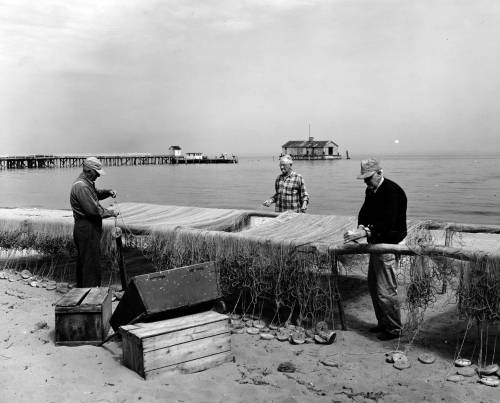 FAQ: Understanding A. Aubrey Bodine's 'Mending Fishing Nets (1955)' and His Legacy
