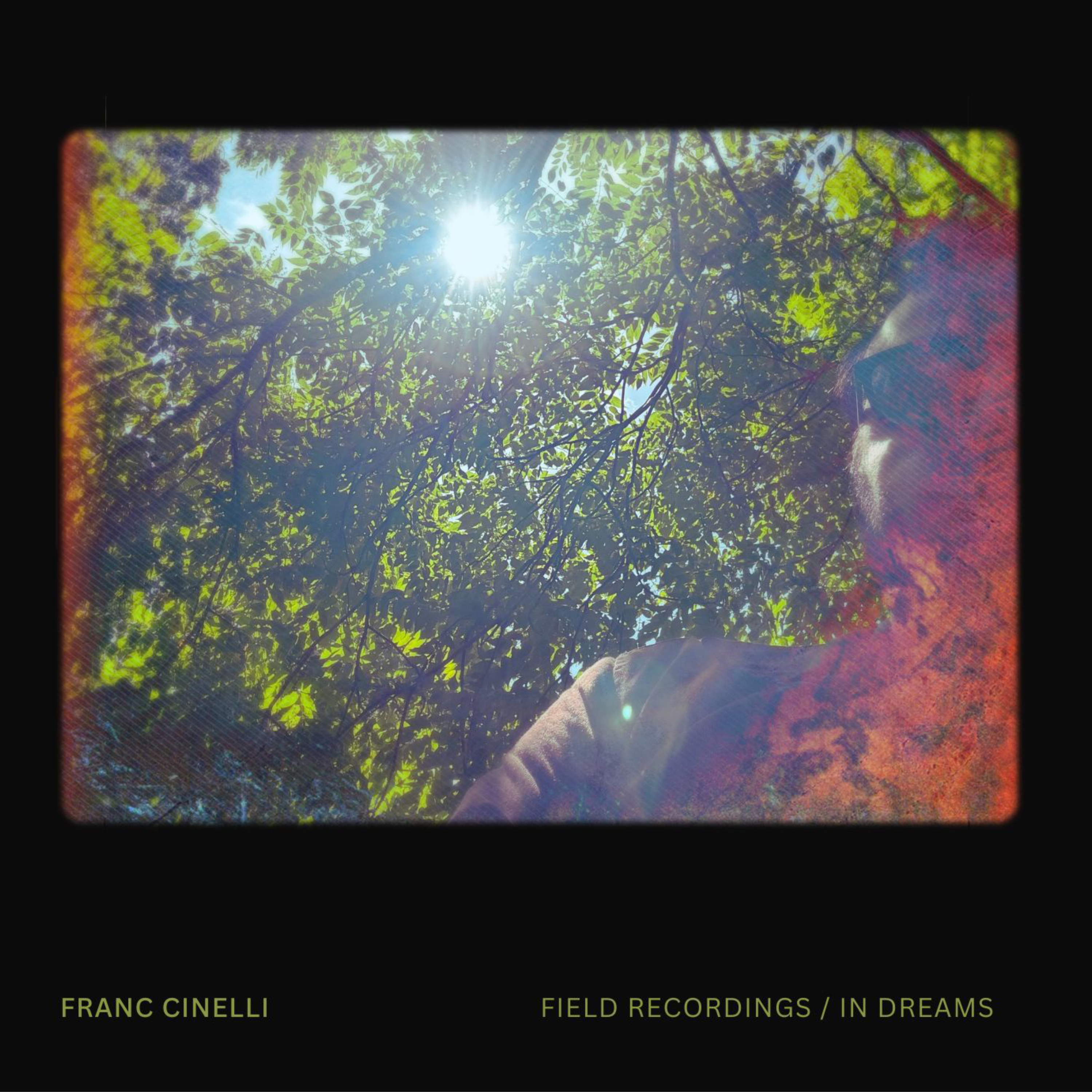 Field Recordings / In Dreams