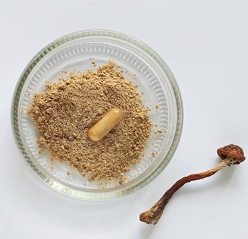 Psylutions Medical Psilocybin Capsules