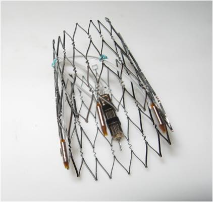 bioelectric protein expression stent