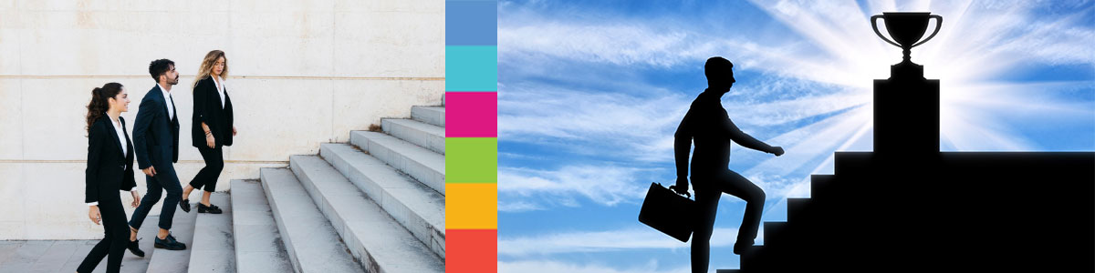 HR Research: Employee Career Development and Mobility