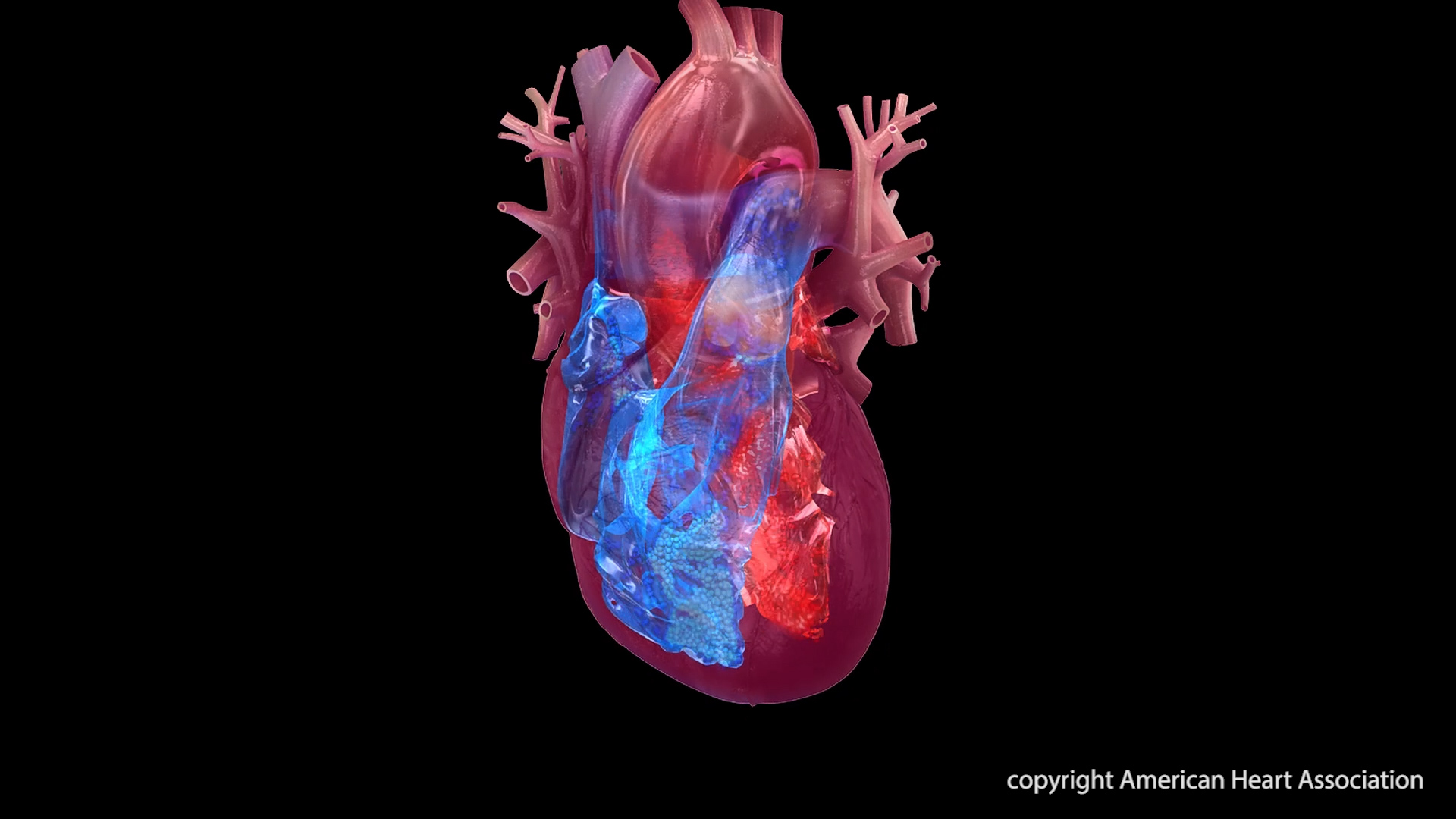 Understanding the Shift in Heart Disease Deaths: A Comprehensive FAQ