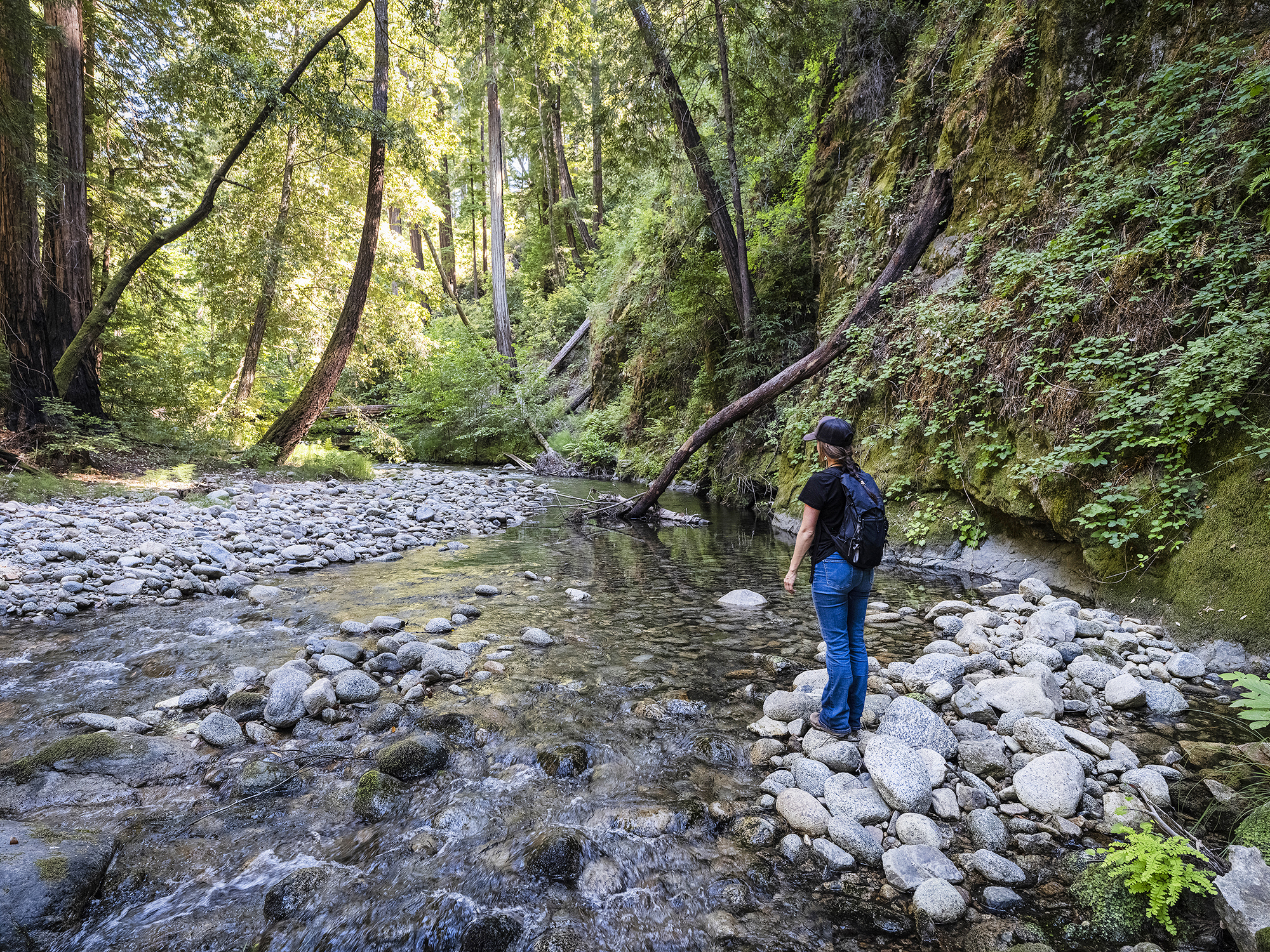 Esselen Tribe Reclaims Ancestral Land, Preserving Critical Ecosystem Along Little Sur River