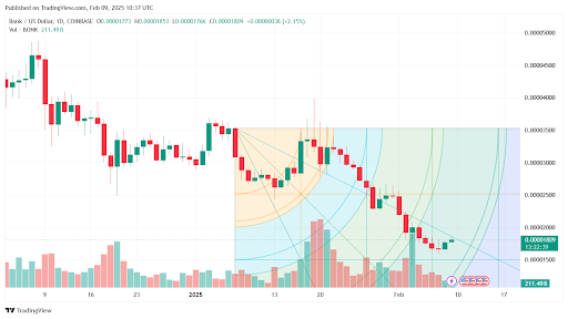 Cutoshi Emerges as Potential Successor to Fading Bonk Meme Coin