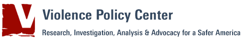 FAQ on Hispanic Victims of Gun Violence in the United States (2002-2023)