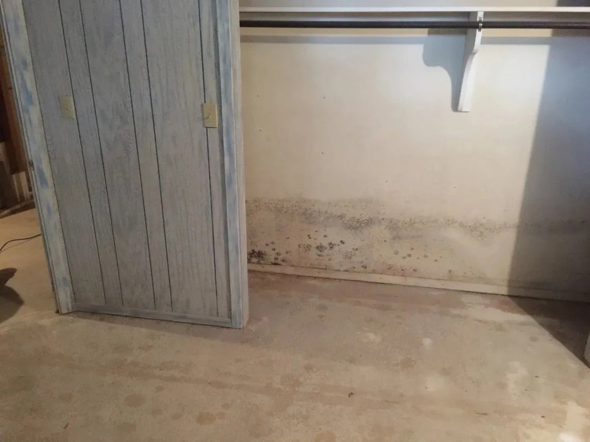 FreshCo Cleaning & Restoration Expands Mold Remediation Services in Wichita, Emphasizing Comprehensive Inspection and Air Quality Verification
