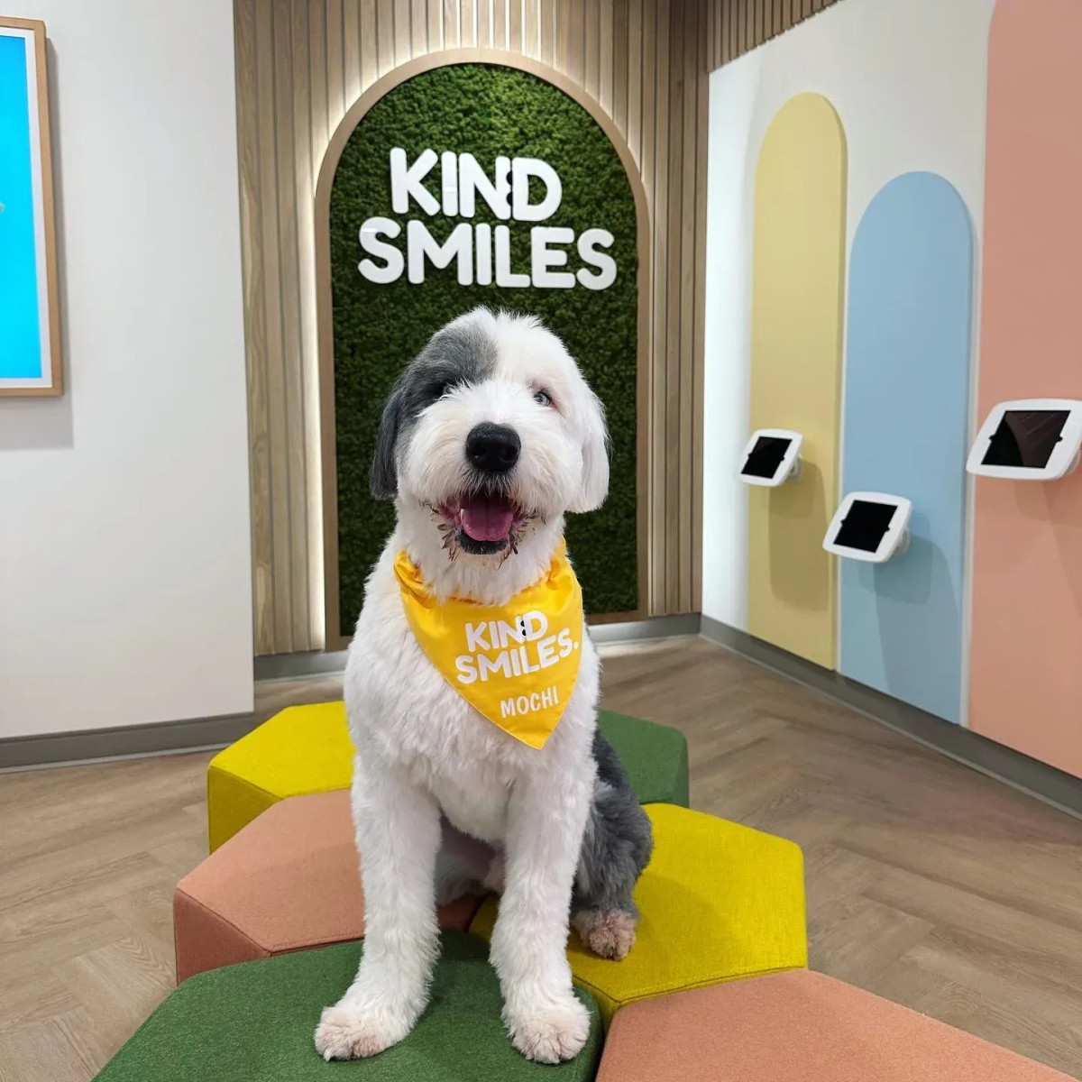 Kind Smiles Orthodontics and Pediatric Dentistry Sets Standard for Family Dental Care in Irvine