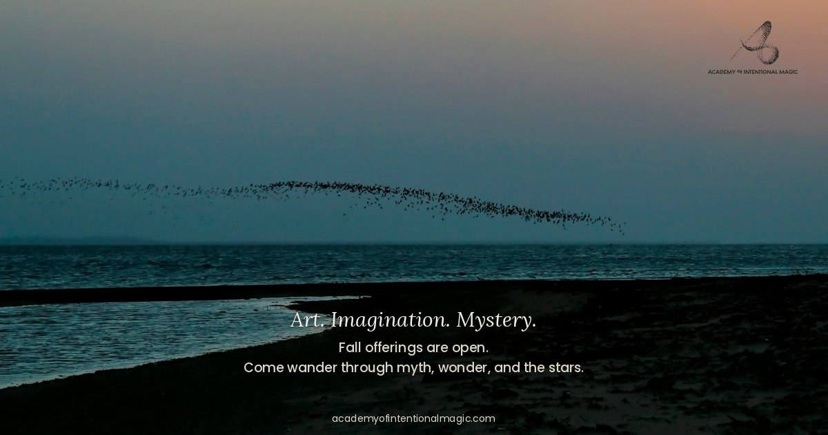Academy of Intentional Magic Launches, Expanding Creative Learning Beyond Poetry